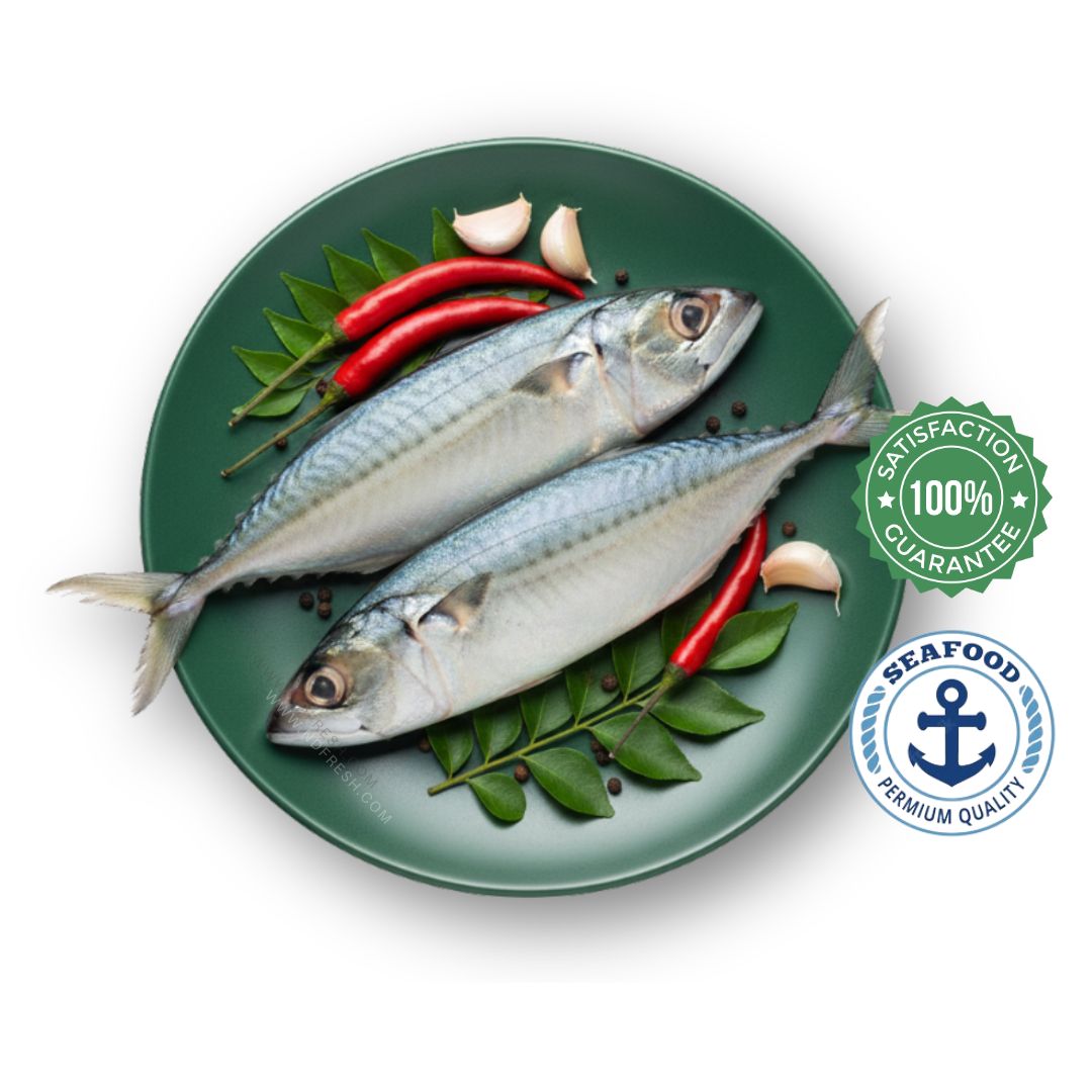 FRESH FISH